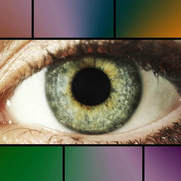 Collage of eye with color palette — Stock Photo, Image