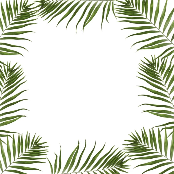 Beautiful palm leaves shaped as frame with space for your text — Stock Photo, Image