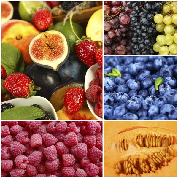 Früchte und Beeren in farbenfroher Collage — Stockfoto