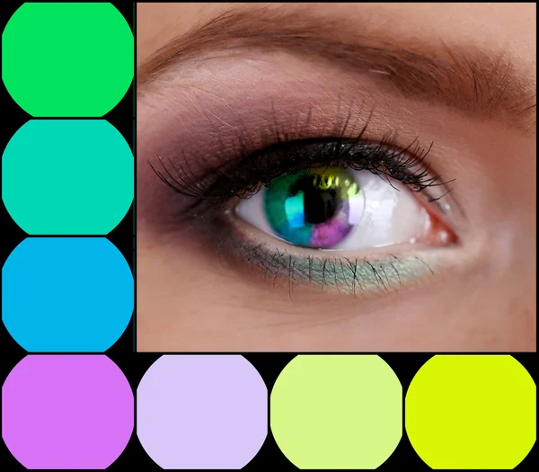 Collage of eye with color palette — Stock Photo, Image