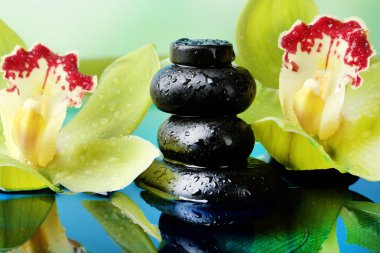 Su damlalı spa taşları