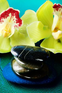 Su damlalı spa taşları