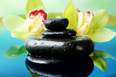 Su damlalı spa taşları