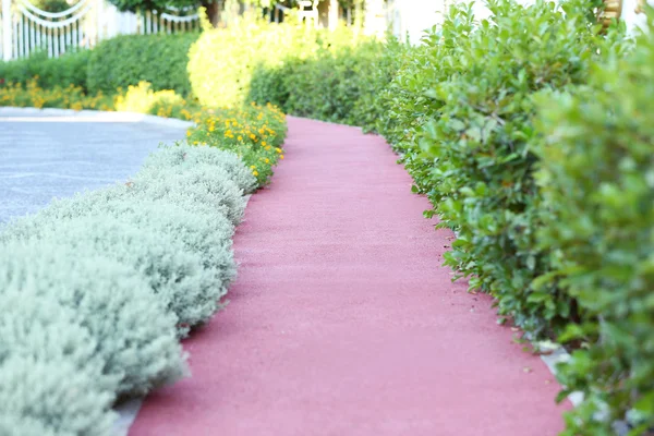 Aménagement paysager de la passerelle dans le parc — Photo