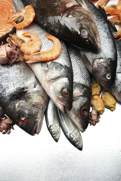 Fresh catch of fish and other seafood close-up — Stock Photo, Image