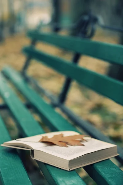 Livro aberto com folha — Fotografia de Stock