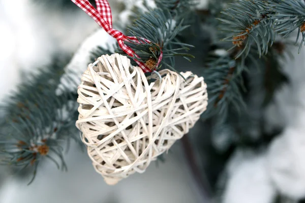 Covered with snow and wicker heart branch of spruce, outdoors — Stock Photo, Image