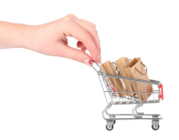 Shopping cart in female hands — Stock Photo, Image