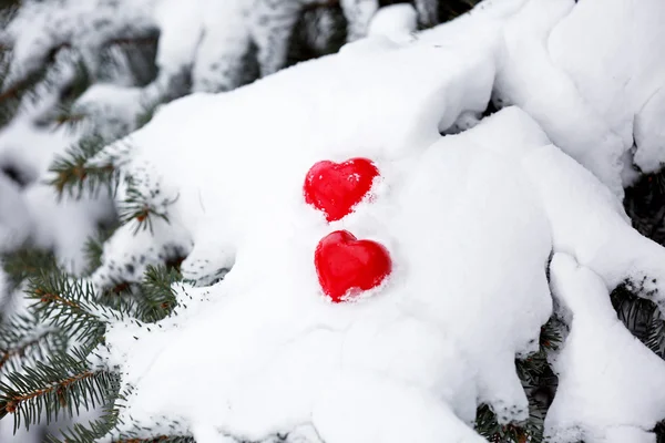 Fir tree branch and hearts — Stock Photo, Image