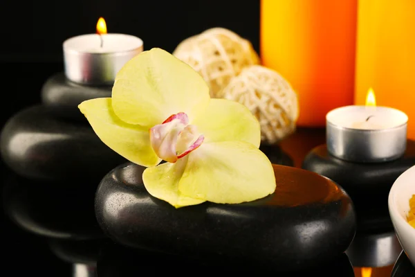 Beautiful spa composition — Stock Photo, Image