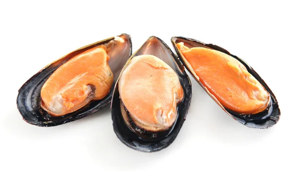 Mejillones aislados en blanco — Foto de Stock