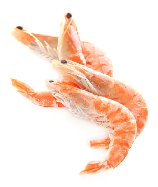 Shrimps isolated on white — Stock Photo, Image