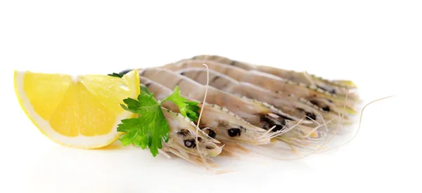 Shrimps isolated on white — Stock Photo, Image