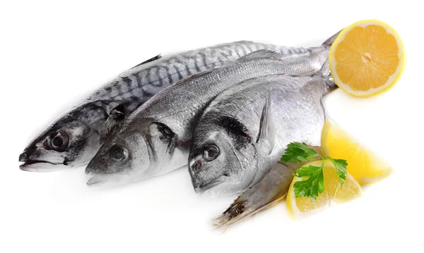 Peixes frescos e outros frutos do mar — Fotografia de Stock