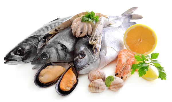 Fresh fish and other seafood — Stock Photo, Image