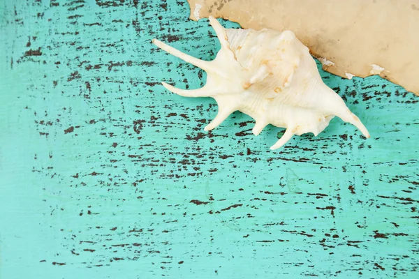 Decoração de conchas, estrelas do mar e papel velho sobre fundo de madeira cor — Fotografia de Stock