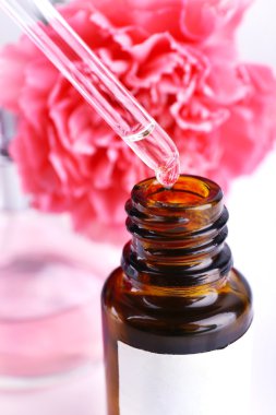 Damlalık şişe parfüm ile beyaz arka plan üzerinde karanfil