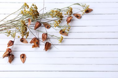 Renk ahşap plakalar arka plan üzerinde kuru çiçekler