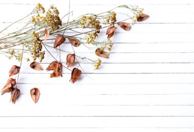 Renk ahşap plakalar arka plan üzerinde kuru çiçekler