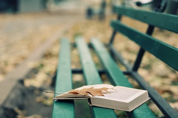 Livro aberto com folha deitada no banco no parque de outono — Fotografia de Stock