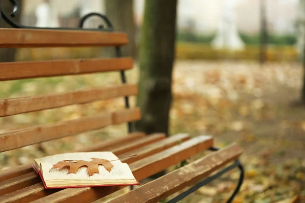 Libro abierto con hojas tumbadas en banco marrón en el parque de otoño — Foto de Stock