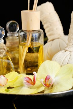 Orkide cins Stadyumu koyu arka plan ile güzel spa kompozisyon