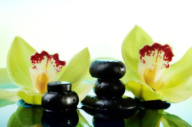 Spa taş ve çiçek açan orkide