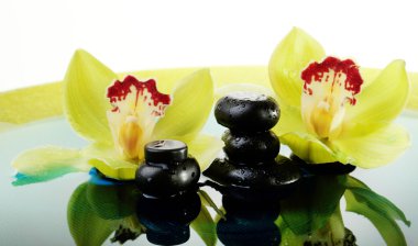 Spa taş ve çiçek açan orkide