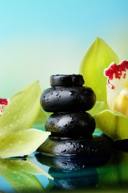 Spa taş ve çiçek açan orkide