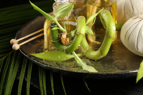 Koyu arka plan üzerinde bambu ile güzel spa kompozisyon