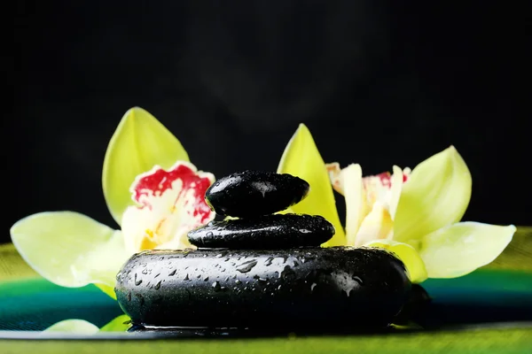 Spa stones and blooming orchid — Stock Photo, Image