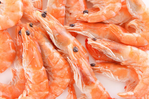 Shrimps close-up