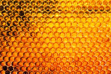 Bal Tarağı Arkaplanı