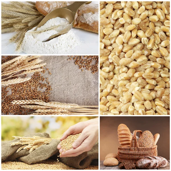 Buğday ve ekmek kolaj — Stok fotoğraf