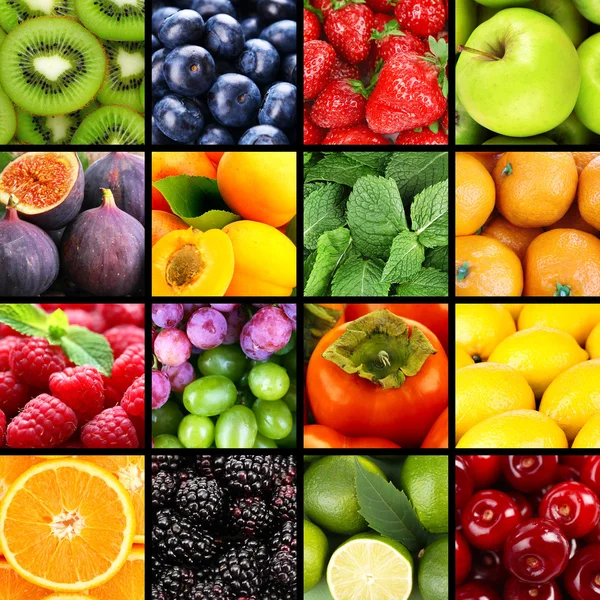 Fruits and berries in colorful collage Stock Image