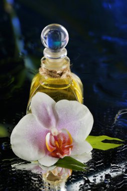 Su damlaları ve koyu renkli arka plan üzerinde parfüm şişe ile orkide çiçek
