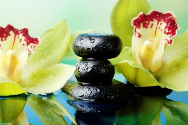 Su damlaları ve güzel çiçek açan orkide doğal zemin üzerine su Spa taşlarla