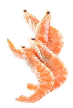 Shrimps isolated on white clipart