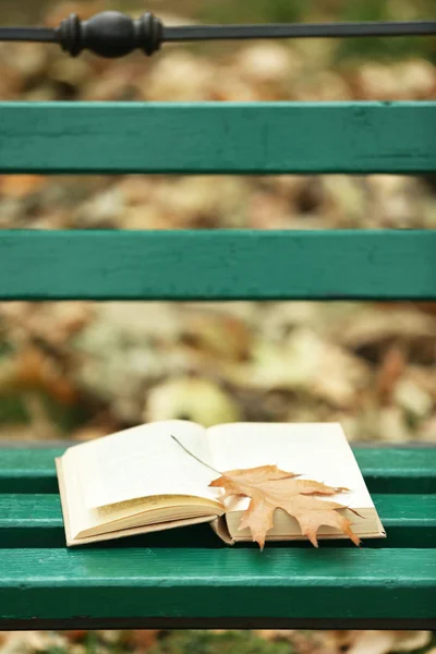 Libro abierto con hojas tumbadas en el banco en el parque de otoño — Foto de Stock