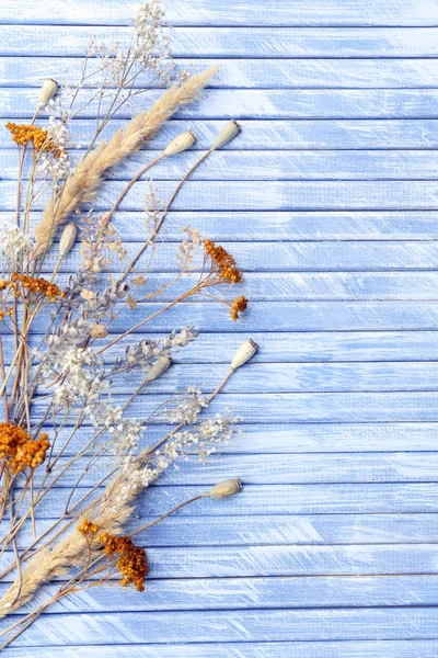 Torkade blommor på färg träplankor bakgrund — Stockfoto