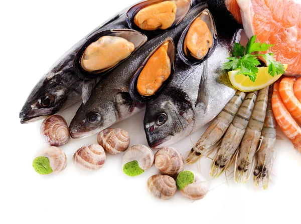 Frischer Fisch und andere Meeresfrüchte isoliert auf weiß — Stockfoto