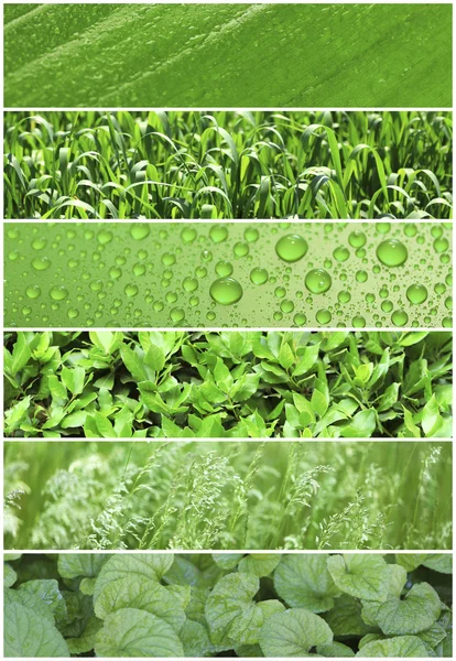 Zelený vzorky koláž — Stock fotografie