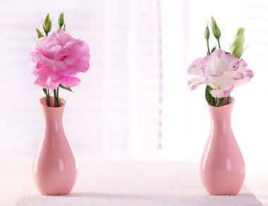 Vazolardaki güzel çiçekler Pencereden gelen ışıkla