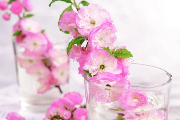 Vacker frukt blossom i glas på bordet på grå bakgrund — Stockfoto