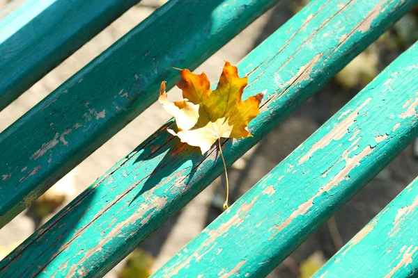 Foglia autunnale su panca in legno — Foto Stock