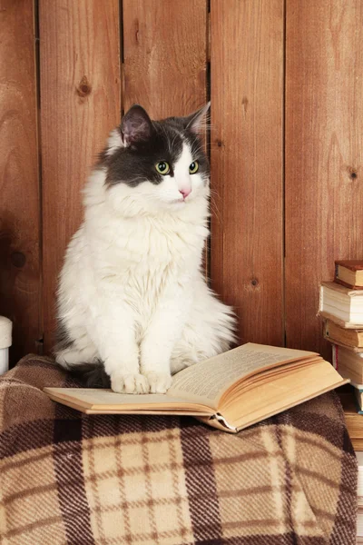 Leuke kat zit met boek over plaid — Stockfoto