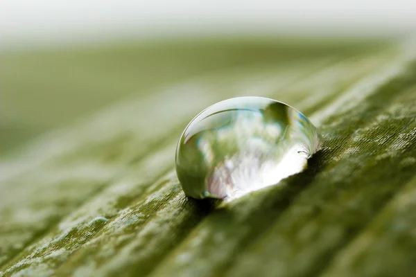 Dew drop on leaf — Stock Photo, Image