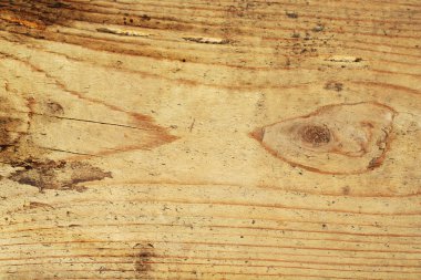 eski ahşap doku, close up