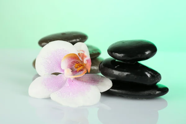 Spa stenen met orchid op lichte achtergrond — Stockfoto