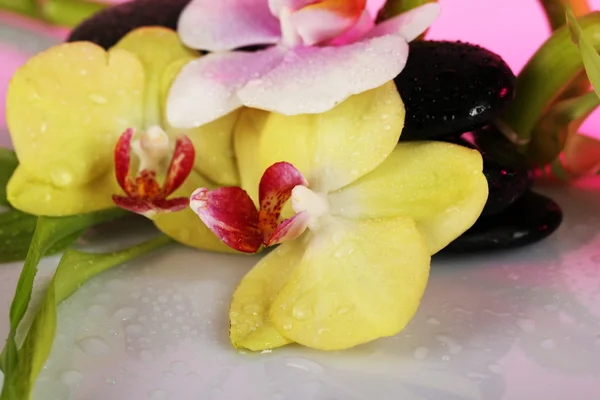 Piedras de spa con orquídea y bambú sobre fondo claro —  Fotos de Stock